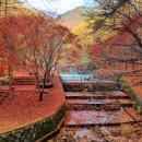 봉학골산림욕장 이미지