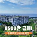 제주튼튼공인중개사사무소 이미지