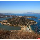 돌산커피 이미지