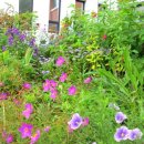 민국 행정사 이미지