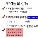 모띠스튜디오 이미지