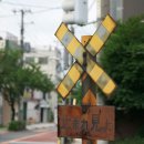 사진속작은풍경 이미지