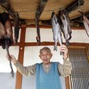 소나무회관 이미지