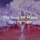 토라포션 "נִצָּבִים 니짜빔 &amp; וַיֵּלֶךְ 바옐레크" : 9월 13일 in 5780 이미지