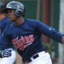 트윈스팜3 이미지