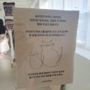 세간1구 | 고양이 코지와 모지가 있는 광안리 소품샵_코지모지 방문 후기