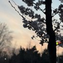 힐링정원 이미지