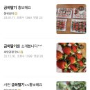 금하딸기체험농장 네이버블로그