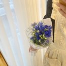 사림동273 이미지