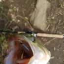 소정리 마을회관 이미지