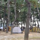 914 해변 캠핑장 네이버블로그