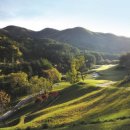 블루마운틴 이미지