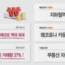 일프로 애견 이미지