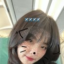 슬기농장 이미지