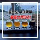 울릉이당 | 울릉도 수제맥주 양조장 울릉브루어리, 테이스팅 솔직 후기