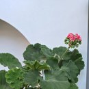 대박이2 이미지