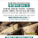윤앤정와이앤제이성형외과의원 이미지