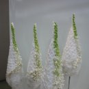 생활도예(중급) 이미지