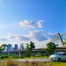 대평동_금강변길 이미지