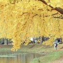 현대장식 이미지