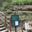 개운산계곡 옹달샘 이미지