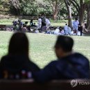 그늘 이미지