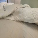 감귤향기힐링파크 이미지