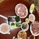 구룡포유진과메기 | 인터넷 주문 맛집: “미식애락” 구룡포 청어 과메기