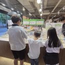 미미아이 | 초등 아이들과 동대문 미미 라인 쇼핑 후기