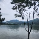 북한강뷰 남양주 대형카페. 카페 대너리스 브런치 먹고 온 솔직 후기.