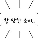 캐치팡 이미지