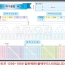 도안탁구클럽