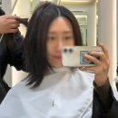 대전 커트 잘하는곳 둔산동 미용실 추천 에이티엔피 대전점 중단발 레이어드컷 만족후기