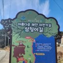 [통영3탄] 통영은 회러버의 천국입니당ㅋㅋ 터미널회식당의 2.5만 회정식/오션뷰 카페 클라우드힐/삼칭이길