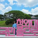 청와대 주말 주차부터 웨이팅 관람소요시간 및 6월 오후 입장 대기줄 후기