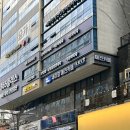 세이멍 | [세이멍] &#39;반려동물입장료 무료&#39; 귀여운 보더콜리가 있는 미사 애견카페!