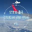 624 | [해외여행][일본] 삿포로에서 한국 귀국_신치토세공항 면세점 쇼핑, ZE624 후기