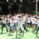 드림 P&T 이미지