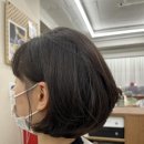 쑤니헤어 이미지