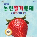 논산 딸기축제 후기 : 맛집, 볼만한 장소
