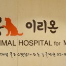 이리온 양재점 이미지