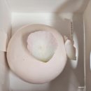 쁘띠비쥬 | 청주 동남지구 디저트 맛집 카페 르미뇽 에끌레어 비쥬 케이크 후기