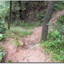 천석농장 이미지