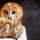 여기 좋아 이미지