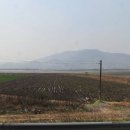 돼지부동산공인중개사사무소 이미지