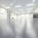 스테디독 이미지