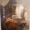 정한뿌리죽 이미지