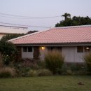 어 타이니 리틀피스 이미지