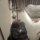 모자이크 어거스트 이미지