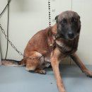 세븐일레븐 군청점 이미지